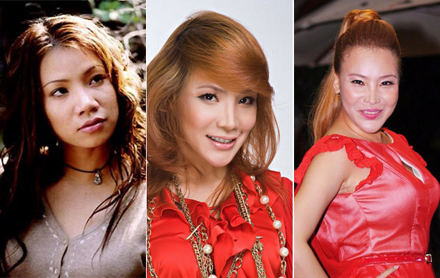 Hồ Quỳnh Hương ngày xưa sở hữu chiếc mũi to, thấp, nhưng sau khi chỉnh sửa, mũi chẳng những đẹp lên mà ngày càng bé lại, "lơ lửng" giữa khuôn mặt