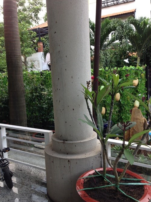 ...và mắm tôm ...và mắm tôm