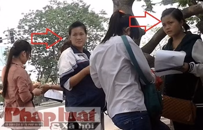 Ả "bụng to" và ả "mặt đen" mắt đảo liên tục "săn"... Ảnh: Quang Khởi