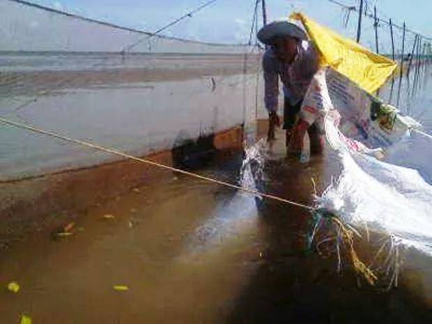 Che nắng cho cá heo đỡ khô da