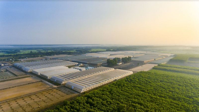 Công ty VinEco đang vận hành 15 nông trường công nghệ cao quy mô lớn trên cả nước. Công ty VinEco đang vận hành 15 nông trường công nghệ cao quy mô lớn trên cả nước.