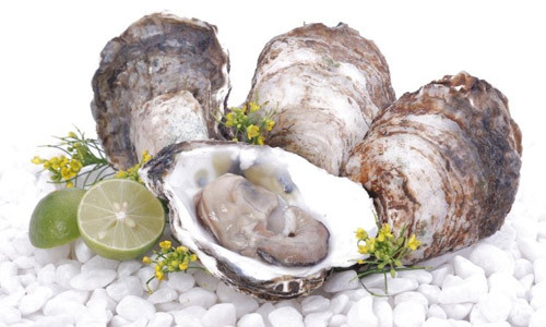 Hàu vừa ngon lại vừa tốt cho nhan sắc Hàu vừa ngon lại vừa tốt cho nhan sắc