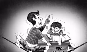 Học ở trường giúp trẻ hình thành nhiều kỹ năng hơn ảnh 2