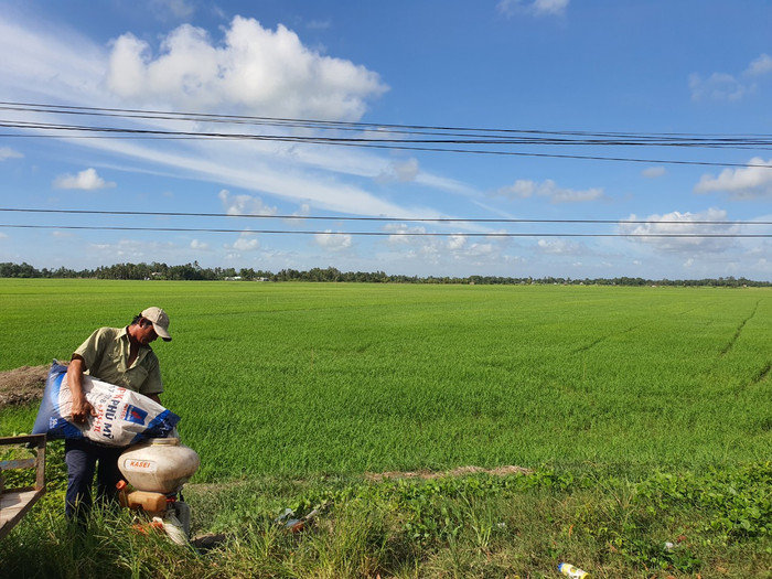 Người nông dân đang phải sử dụng phân bón với giá thành cao hơn do mặt hàng phân bón không thuộc đối tượng áp thuế giá trị gia tăng. A2.jpg