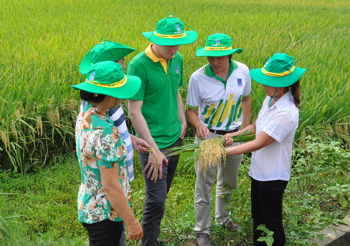 Phân bón mang lại hiệu quả kinh tế cao cho người nông dân. A3 1.JPG