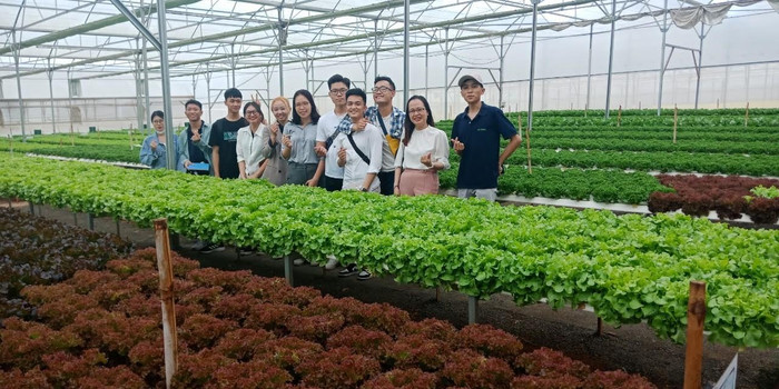 Sinh viên ngành Công nghệ nông nghiệp đi thực tế thăm các mô hình sản xuất rau theo tiêu chuẩn VietGAP. Ảnh: NTCC unnamed.jpg