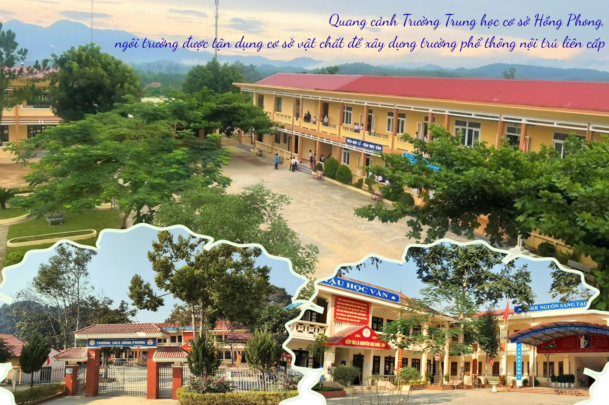 thiet-ke-5.png
