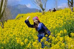 Lạc lối với thiên đường hoa cải vàng tại Fansipan