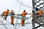 Hoàn thành thay thế cách điện đường dây 220kV mạch kép Thái Bình – Tiền Hải – Trực Ninh