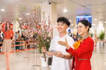 Vietjet nhận vận chuyển mai, đào Tết Nguyên đán 2026 từ 15/1