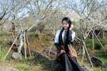 Giới trẻ "rần rần" check-in cây mận cổ thụ trắng muốt đẹp như phim tại Sun World Fansipan Legend