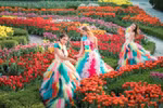 Hàng nghìn du khách đón Tết Bính Ngọ cùng hơn triệu bông tulip tại Sun World Ba Na Hills