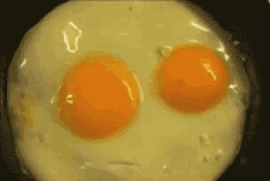 Cứu em... Cứu em...