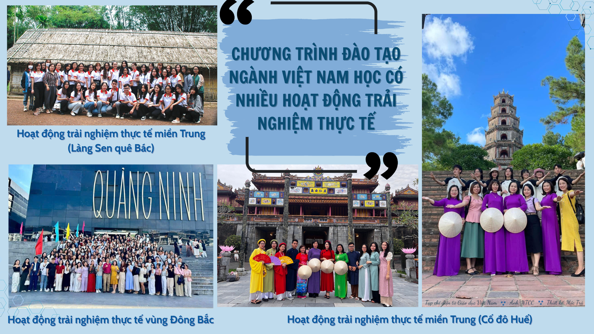nganh-viet-nam-hoc-2.png