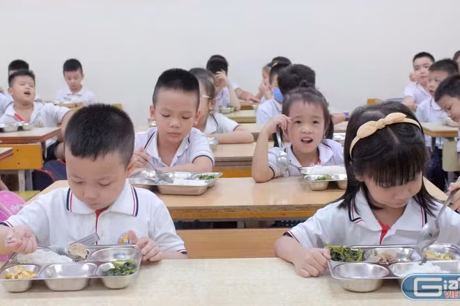 Lấy ý kiến góp ý về quy định về tổ chức bữa ăn nội trú, bán trú, dịch vụ căng tin trong CSGD