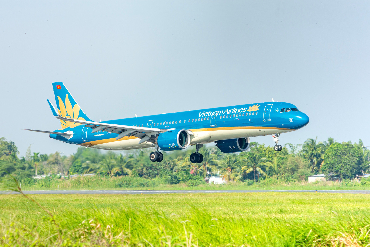 duong-bay-da-nang-singapore-duoc-khai-thac-bang-may-bay-airbus-a321.jpg