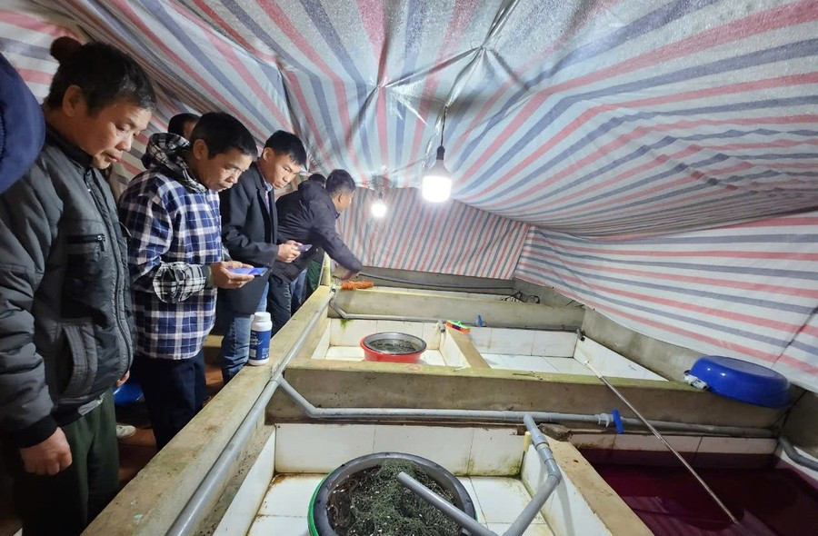 Các hộ dân đi thăm quan, học tập kinh nghiệm