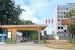 Năm 2026, Trường Đại học Lâm nghiệp tuyển sinh 28 ngành đào tạo trình độ đại học