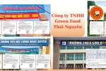 Cách trường công chọn Công ty TNHH Green Food Thái Nguyên trúng thầu ra sao?