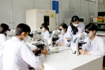 Khi Hội đồng trường chấm dứt hoạt động, cần áp dụng ngay mô hình quản trị đại học mới