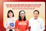 Bầu cử Quốc hội và HĐND: Đại biểu cần hội đủ yếu tố bản lĩnh, trách nhiệm và gắn bó