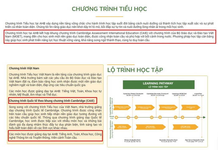 tieu-hoc.jpg
