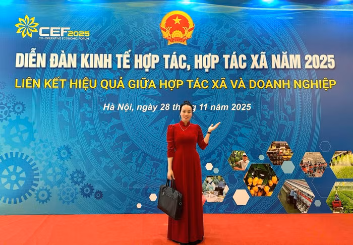 hao-anh-4.jpg