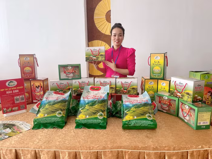 hao-anh-8.jpg