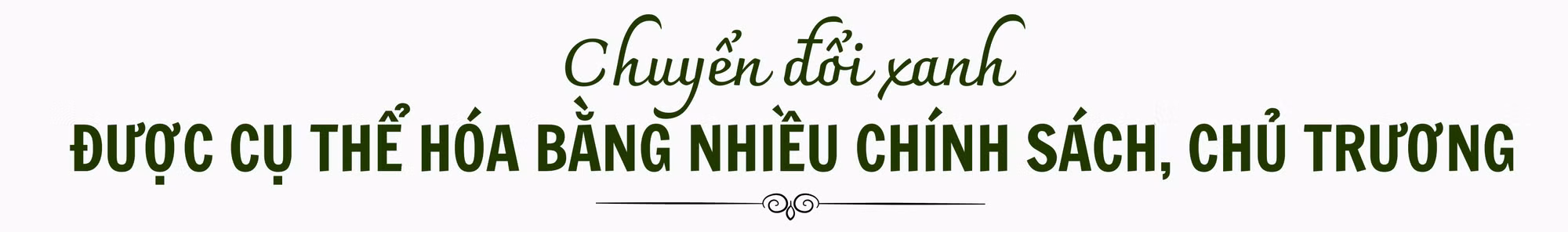 thum1-nt.png