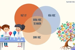Nhìn lại 4 năm giảng dạy và học tập các môn tích hợp ở cấp THCS 