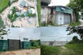 Hà Nội: Cận cảnh dự án đất giáo dục chục năm vẫn "bất động"