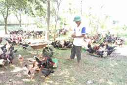 Chuyển đổi số có nhiều lợi ích rõ ràng, hợp tác xã ở Hà Nội mong "cầm tay chỉ việc" nhiều hơn