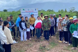 Xã Bác Ái giải ngân chương trình giảm nghèo đạt 96,8%, nhiều dự án phát huy hiệu quả thiết thực