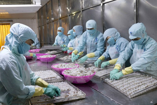 Đến 2020 giá trị gia tăng của các mặt hàng nông sản, thủy sản xuất khẩu chủ lực tăng bình quân 20% so với hiện nay. ảnh:TTXVN. Đến 2020 giá trị gia tăng của các mặt hàng nông sản, thủy sản xuất khẩu chủ lực tăng bình quân 20% so với hiện nay. ảnh:TTXVN.