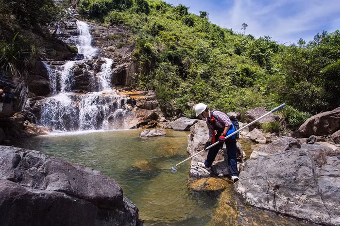 Những ngày sương mù, hay vào mùa đông, việc nhặt rác trở nên khó khăn hơn nhiều. Ngoài thời tiết bất lợi, họ còn phải đối mặt với rắn, vắt và các loài côn trùng độc hại khác.