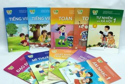 Bộ Giáo dục đã bỏ lỡ “thời gian vàng” để tập huấn về chương trình mới ảnh 3 Bộ Giáo dục đã bỏ lỡ “thời gian vàng” để tập huấn về chương trình mới ảnh 3