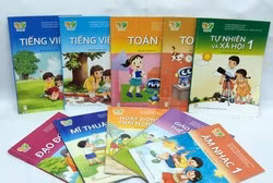 Bộ Giáo dục đã bỏ lỡ “thời gian vàng” để tập huấn về chương trình mới ảnh 3