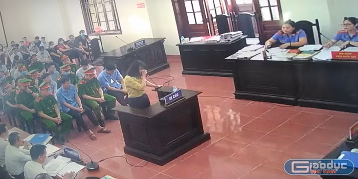 Vụ gian lận thi cử ở Hòa Bình, ai dũng cảm trước tòa? ảnh 3