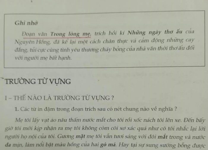 Phần ghi nhớ gọi là ...đoạn văn