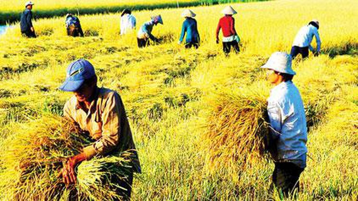 Phó Thủ tướng Trịnh Đình Dũng đồng ý về việc tổ chức Hội nghị toàn quốc tổng kết 10 năm thực hiện Kết luận số 53-KL/TW của Bộ Chính trị và Nghị quyết số 63/NQ-CP về Đề án "An ninh lương thực quốc gia đến năm 2020".(Ảnh minh họa: baochinhphu.vn). Phó Thủ tướng Trịnh Đình Dũng đồng ý về việc tổ chức Hội nghị toàn quốc tổng kết 10 năm thực hiện Kết luận số 53-KL/TW của Bộ Chính trị và Nghị quyết số 63/NQ-CP về Đề án "An ninh lương thực quốc gia đến năm 2020".(Ảnh minh họa: baochinhphu.vn).