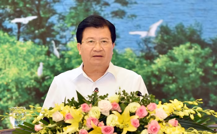 Phó Thủ tướng Trịnh Đình Dũng: Phải tiếp tục hoàn thiện thể chế, tạo môi trường pháp lý thuận lợi để bảo vệ rừng và phát triển ngành lâm nghiệp.