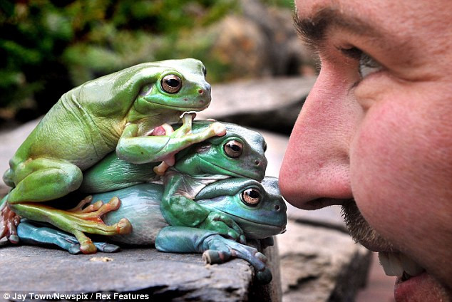 Chủ vườn thú Chiris Humfrey mới chỉ 5 tuổi khi ông tìm thấy Jabba, con vật đầu tiên của ông.