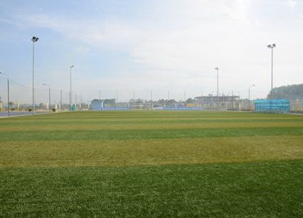 Sân cỏ hiện đại tại trung tâm VĐV của HP HN. Ảnh: Internet