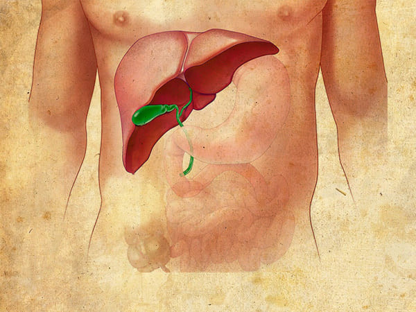 Đối với bệnh gan cũng như mọi bênh khác phòng bệnh bao giờ cũng rất quan trọng (Ảnh: theo boldsky). Đối với bệnh gan cũng như mọi bênh khác phòng bệnh bao giờ cũng rất quan trọng (Ảnh: theo boldsky).