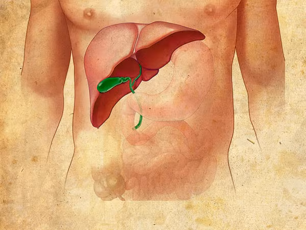 Đối với bệnh gan cũng như mọi bênh khác phòng bệnh bao giờ cũng rất quan trọng (Ảnh: theo boldsky). Đối với bệnh gan cũng như mọi bênh khác phòng bệnh bao giờ cũng rất quan trọng (Ảnh: theo boldsky).