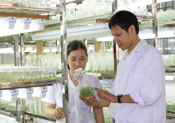 Nguồn ảnh: Trường Đại học Nông Lâm - Đại học Thái Nguyên