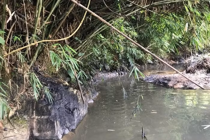 Chất thải đã chảy lan ra suối rồi vào hồ Đầm Bài, là nơi cấp nước cho Nhà máy nước Sông Đà. Ảnh: QĐ.