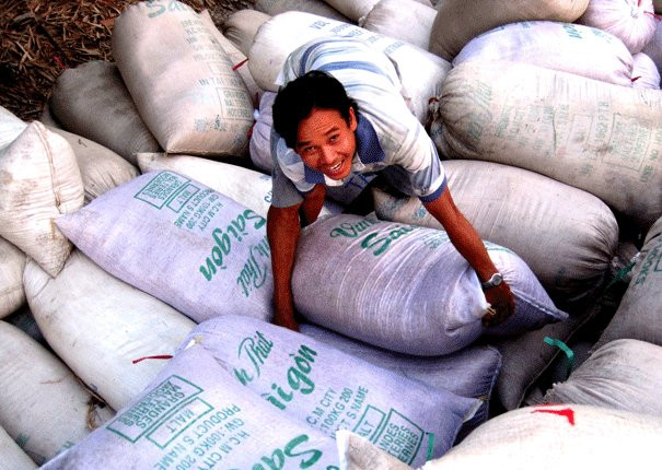 Nghịch lý nông dân được mùa nhưng mất giá vẫn đang là vấn đề thời sự.