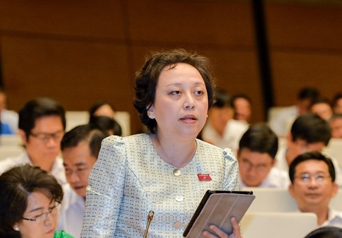 Bà Phạm Khánh Phong Lan và những phát ngôn chẳng giống ai ảnh 2 Bà Phạm Khánh Phong Lan và những phát ngôn chẳng giống ai ảnh 2