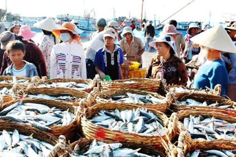 Hải sản tồn đọng của ngư dân được hỗ trợ. ảnh minh họa: VGP. Hải sản tồn đọng của ngư dân được hỗ trợ. ảnh minh họa: VGP.